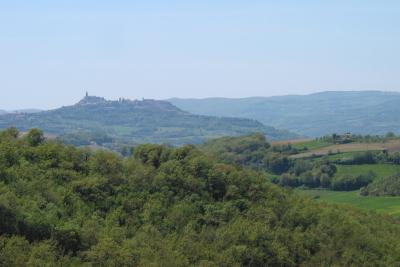 Todi once more