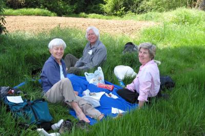 Picnic