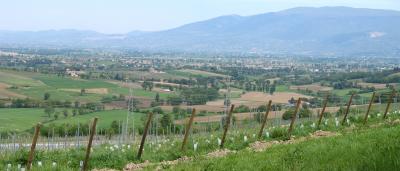 On the way to Bevagna