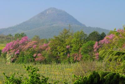 View from the terrace at Brunella and Sandro's.