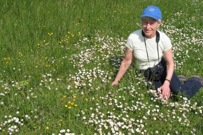 Wild flowers in bloom