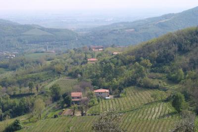 View from the road to the fattoria
