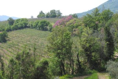 From Brunella and Sandro's terrace