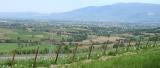 On the way to Bevagna