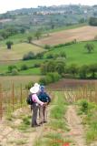 Looking back at Montefalco