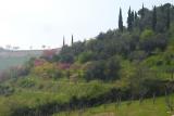 View---on a walk through Valnogaredo