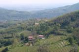 View from the road to the fattoria
