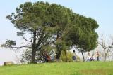 A meadow above Villa Beatrice