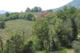 From Brunella and Sandros terrace