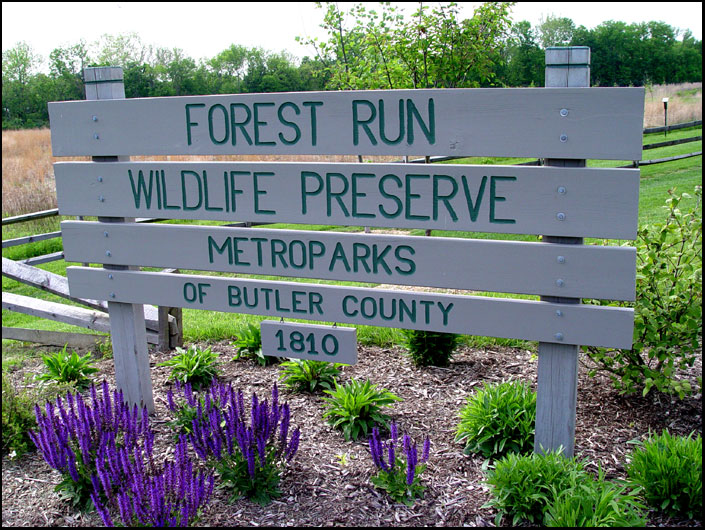 Metro Parks