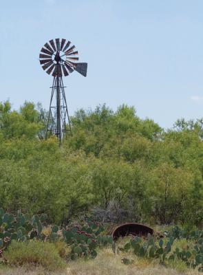 Cotulla-Lower-Ranch