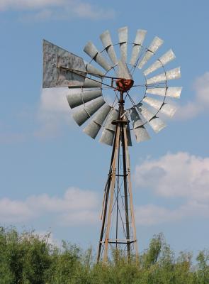 Fm-2522 (10D)