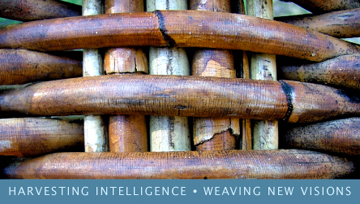Walking on Cotton Consulting