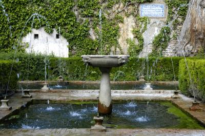 Fountain 5