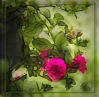 u26/judi2/medium/43497744.HangingBasket.jpg