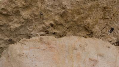 IMG_2805w.jpg