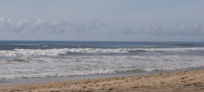 IMG_2819w.jpg
