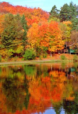 nature