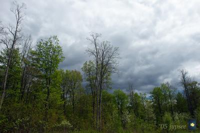 spring storm coming. for Barb