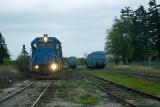pulpwood train. engine running backwards