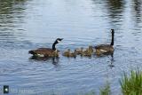 moving downstream....