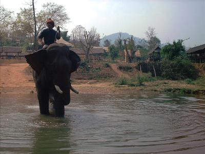 :: Thailand ::