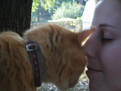kissing head.JPG