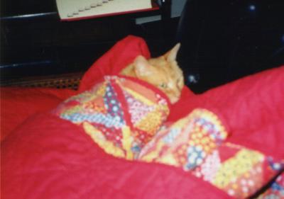 quilt.JPG
