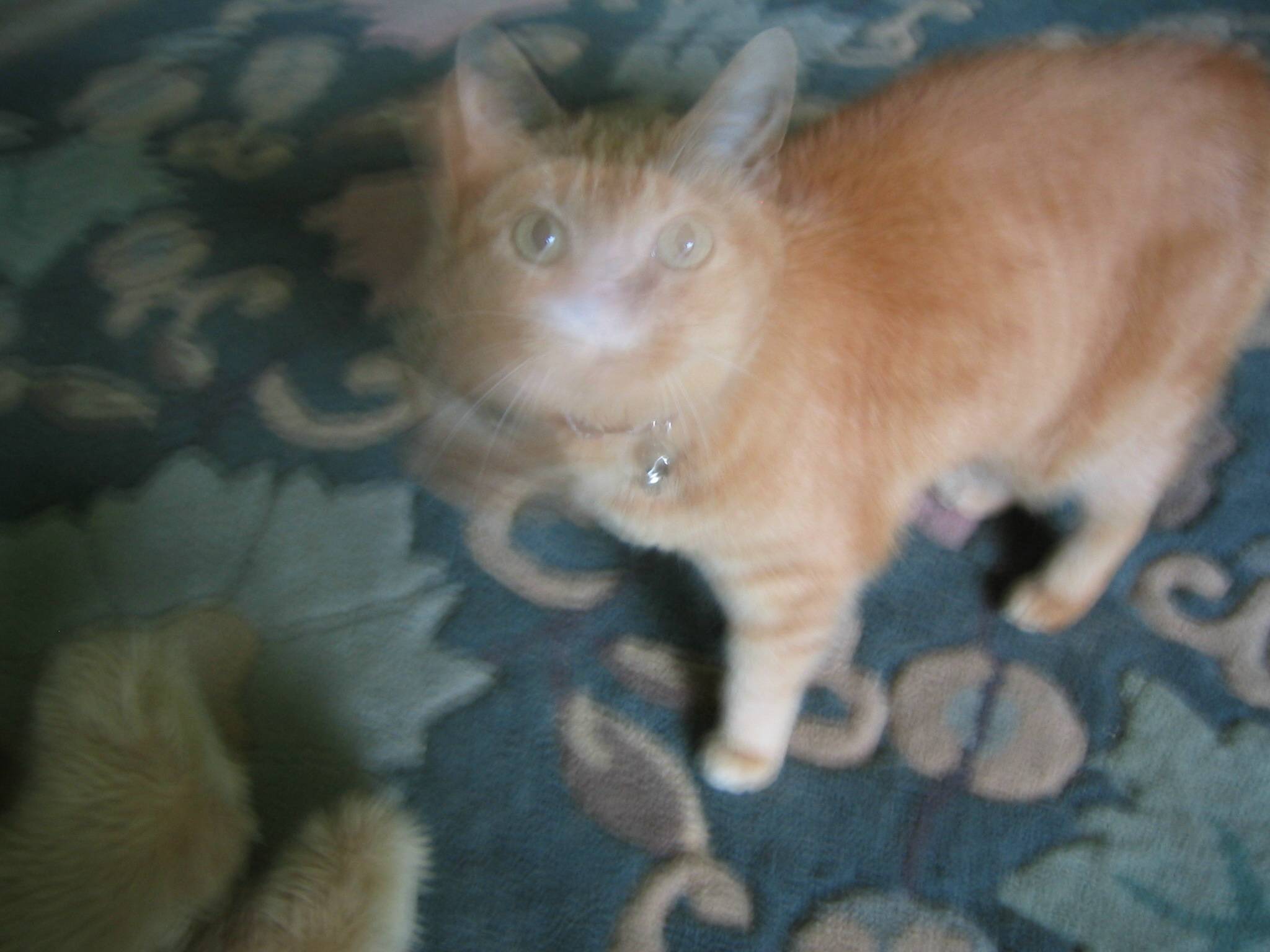blur.JPG