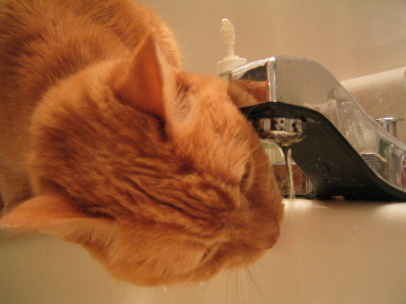 uncontrolable thirst.JPG
