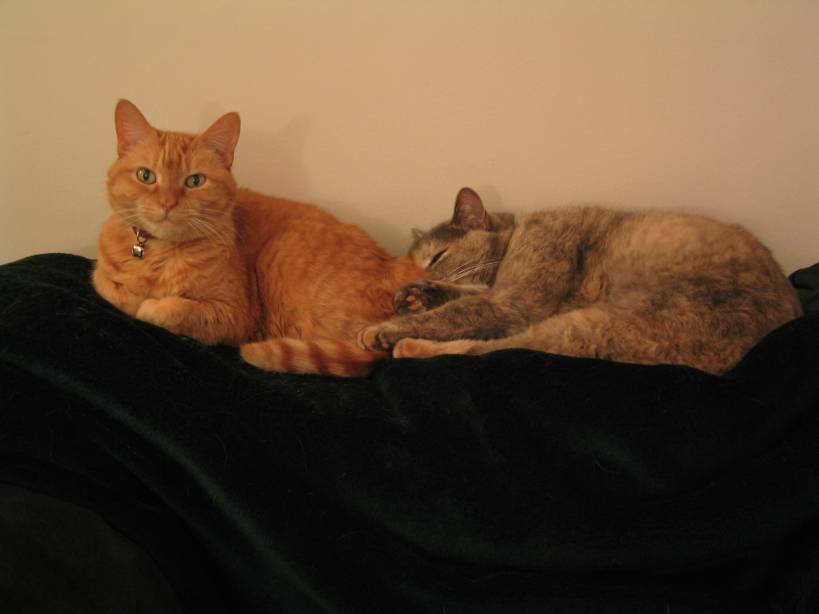 Uno and Gwyneth.JPG