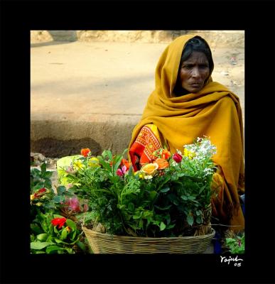 The-Black-Rose.jpg