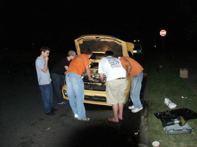 3asses2whiteboys.JPG