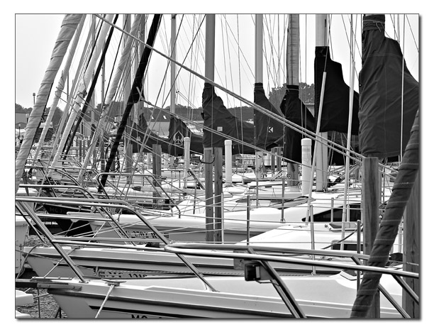 sailboats 