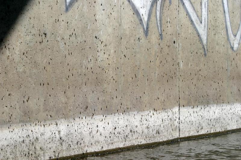 Skwala Husks and Grafitti