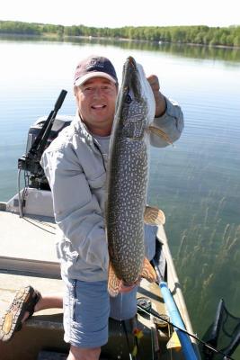 Northern Pike