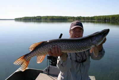 Esox Lucius 