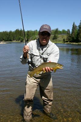 Red Deer River Brown Trout