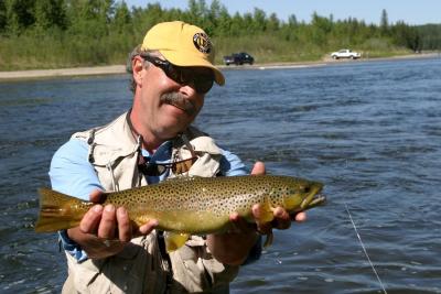 Brown Trout