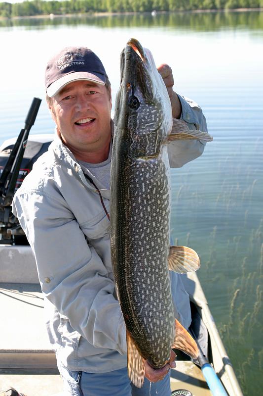 Northern Pike