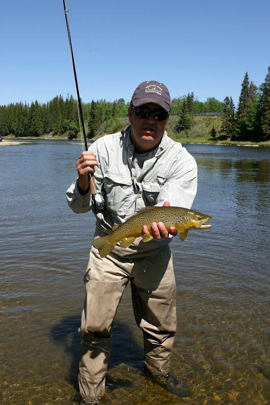 Red Deer River Brown Trout