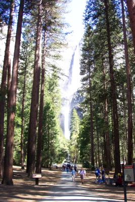 Yosemite Falls 011.jpg