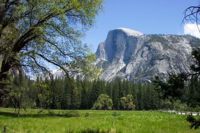 Yosemite Half Dome  017.jpg