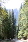 Yosemite  Valley 015.jpg