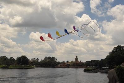 Kites in Flight