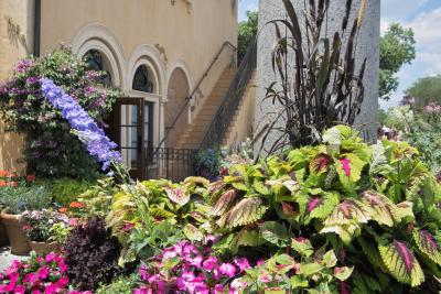 More Italian Flowers