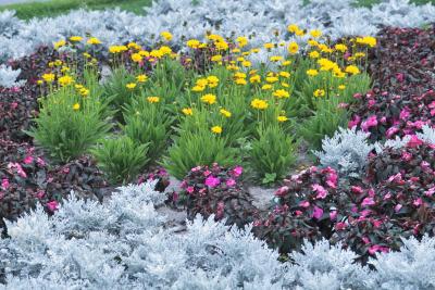 Flower Selection