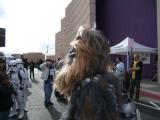 Wookie forlorn