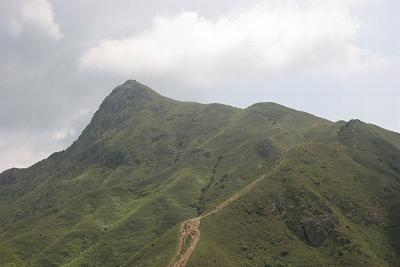 Sharp Peak