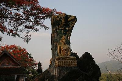 u26/khanh_hwang/medium/43847436.PhuSiIMG_2301.jpg